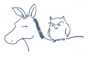 Owl and Ass by Danny Wilson
